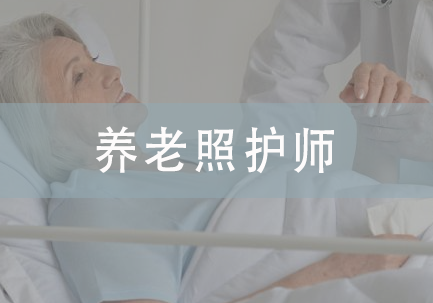 养老照护师