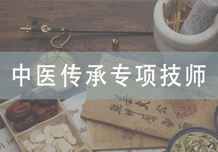 中医传承专项技师